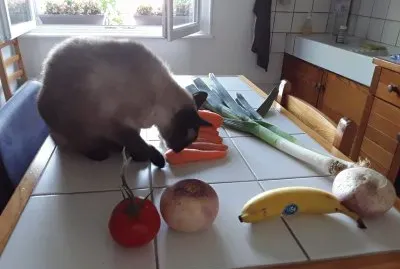 Miam et les lÄ—gumes