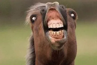 פאזל של solve the world 's most sexiest puzzle