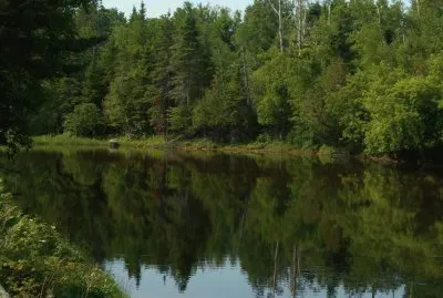 Local pond     L