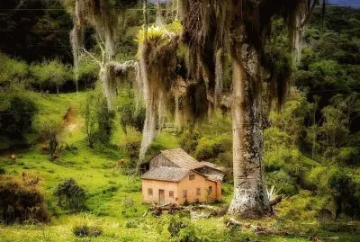 פאזל של imagem