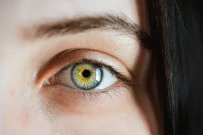 פאזל של olhos penetrantes