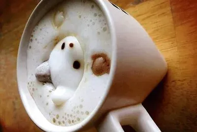 cafe