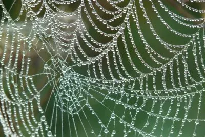 Atejnaruin Urvylkauru