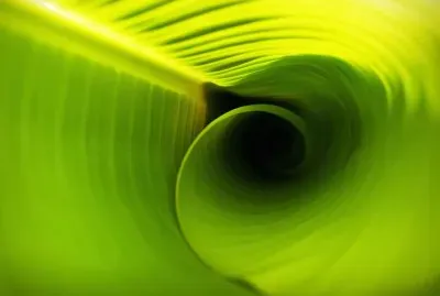 Baynatium Staogflu jigsaw puzzle