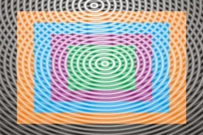 èœ˜è››ç¶² jigsaw puzzle