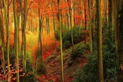 autumn