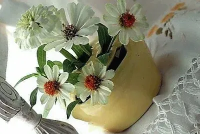 flores