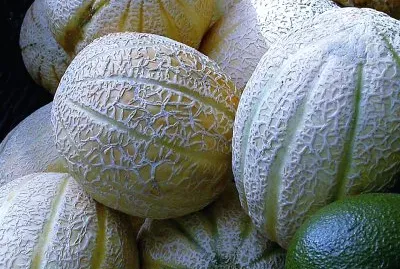 frutos