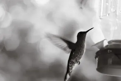 PosaMiVida jigsaw puzzle