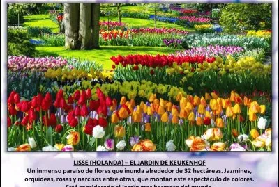 LISSE (HOLANDA) â€“ EL JARDIN DE KEUKENHOF jigsaw puzzle
