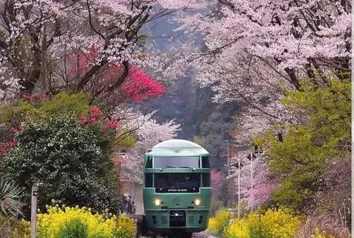 imagem jigsaw puzzle