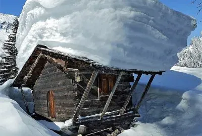 פאזל של natural