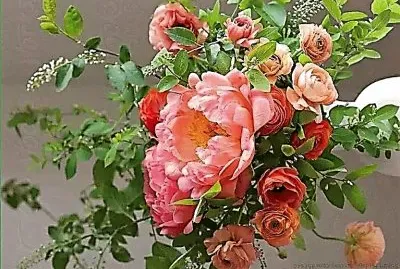 flores