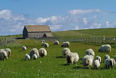 schottland
