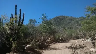 camino en la sierra jigsaw puzzle