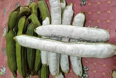 natural