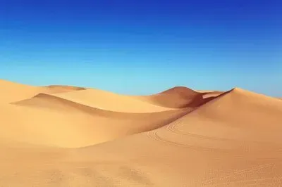 dunas jigsaw puzzle