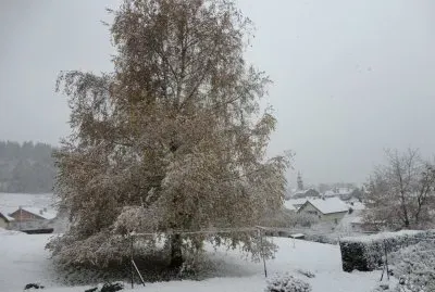 neige