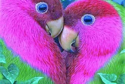 natural jigsaw puzzle