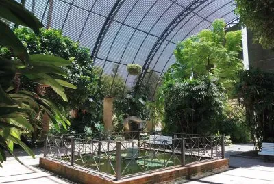 en el botanico valencia