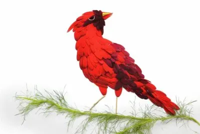 natural jigsaw puzzle