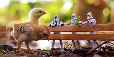 interessante jigsaw puzzle