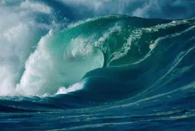 Hawaaiian surf