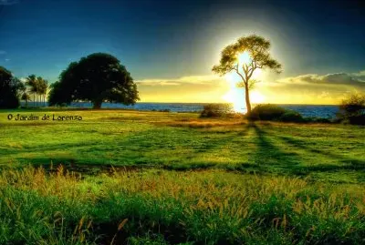 imagem jigsaw puzzle