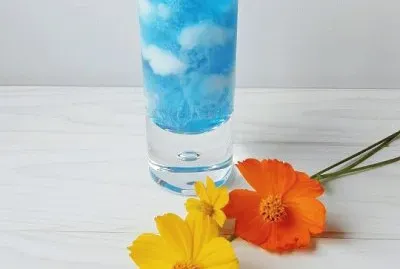 æžœå‡
