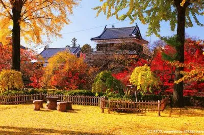 imagem jigsaw puzzle