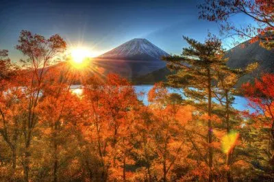 imagem jigsaw puzzle