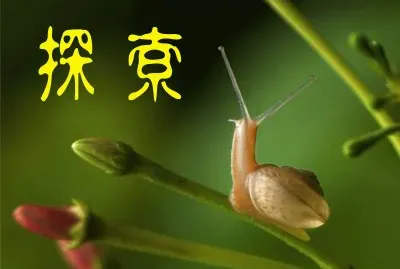 ç¾Žåœ–