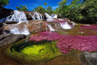 RIOS E MARES: RIO CAÃ‘O CRISTALES (COLÃ”MBIA)