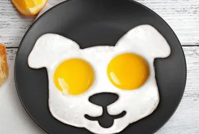 è·åŒ…è›‹