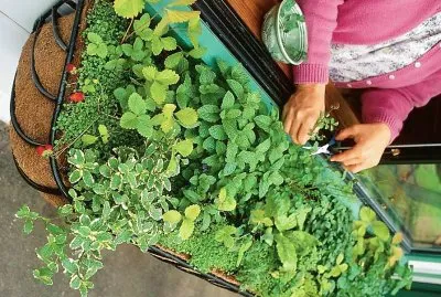 natural jigsaw puzzle