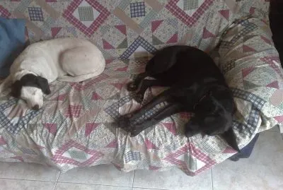 che stanchezza nina e bertino