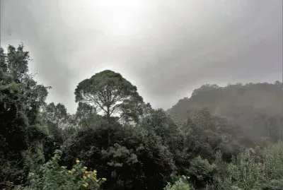 Paisaje chiapaneco. jigsaw puzzle