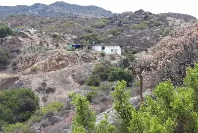 Aguaje Vargas jigsaw puzzle