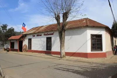 Chile 77 jigsaw puzzle