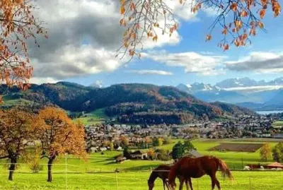 imagem jigsaw puzzle