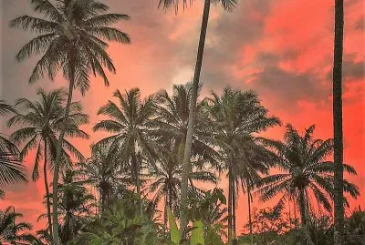 פאזל של natural