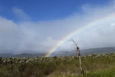 פאזל של atardecer de mi region