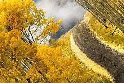 flores jigsaw puzzle