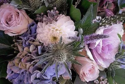 flores