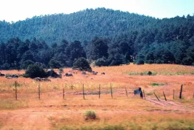 SerranÃ­a chihuahuense.