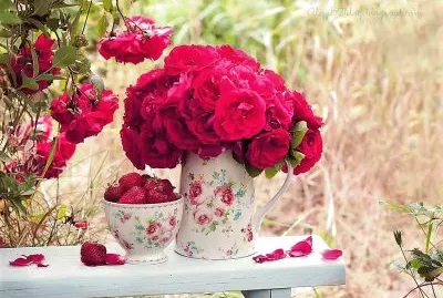 flores