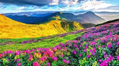 פאזל של monte florido