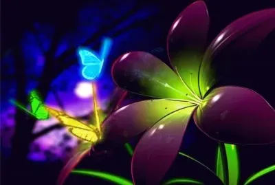 é»‘åº•åœ–