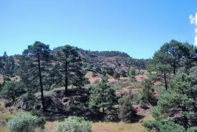 SerranÃ­a chihuahuense.