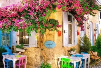 Lugares MÃ gicos !!!